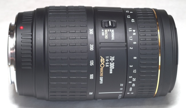 Обзор объектива Sigma APO 70-300mm F4-5.6 DG MACRO